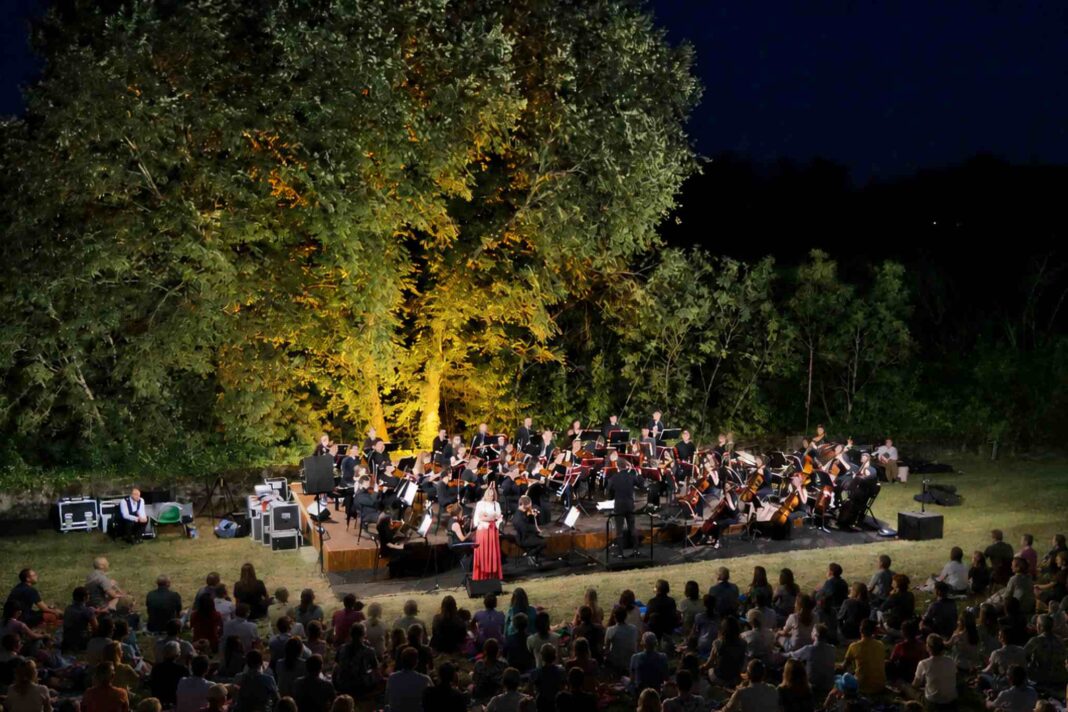 Immagine di un concerto della rassegna Palchi nei Parchi
