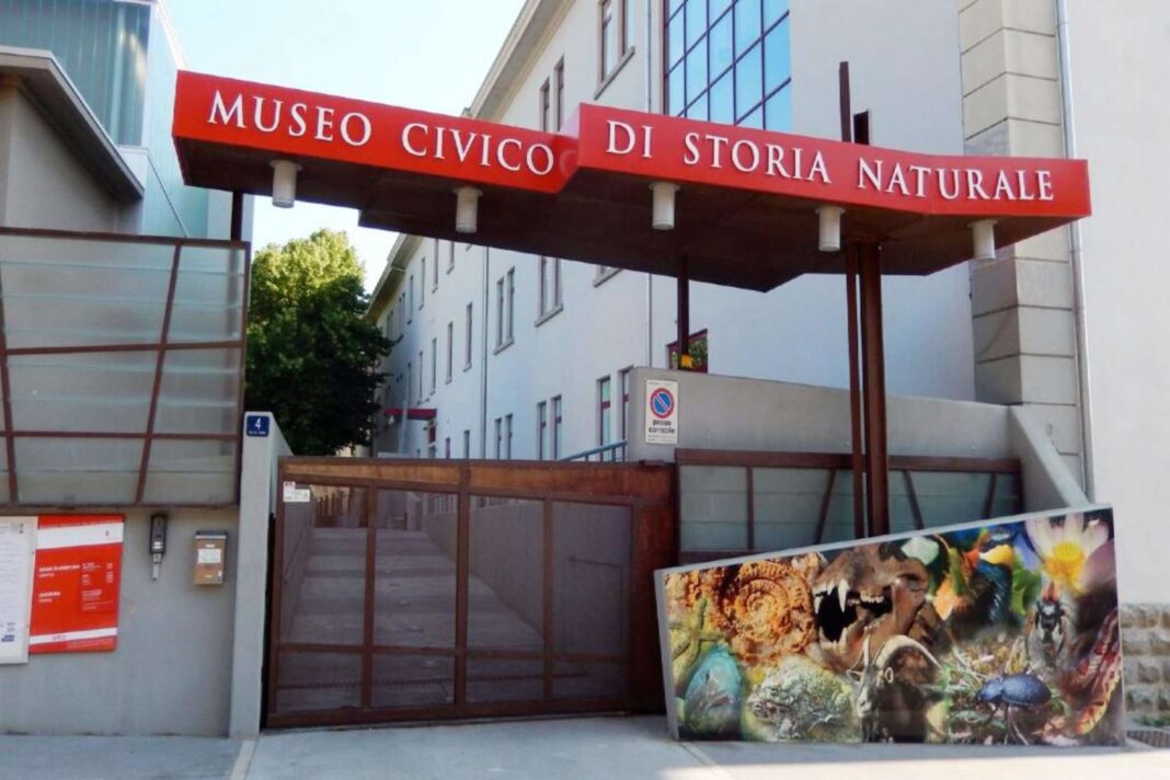 Museo Civico di Storia Naturale di Trieste