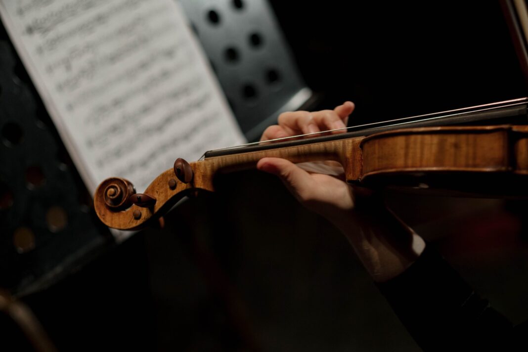 Musica classica, orchestra da camera FVG