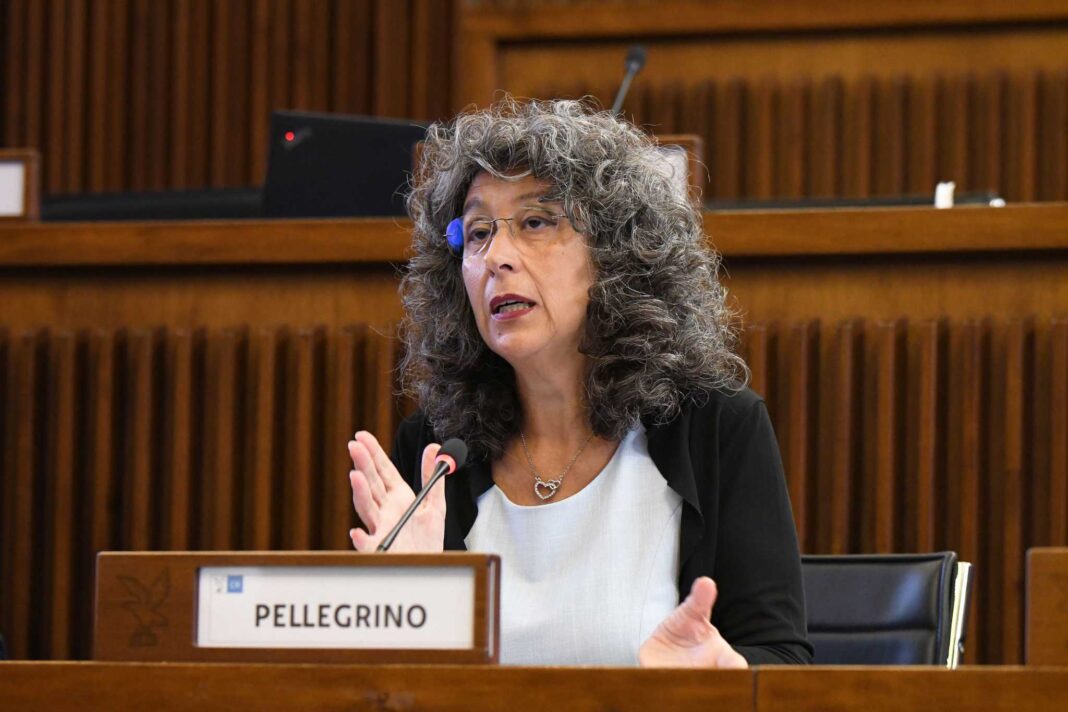 pellegrino nucleare