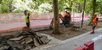 Trieste, Barcola, Roiano, viale Miramare, lavori pubblici, riqualificazione urbana, viabilità