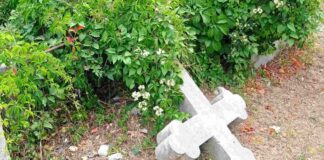 Cimitero di Trieste, scoppia il caso del degrado: “Decine di tombe invase dalla vegetazione” Cimitero di Trieste, degrado, tombe, manutenzione, Comune di Trieste, decoro urbano, segnalazioni cittadini