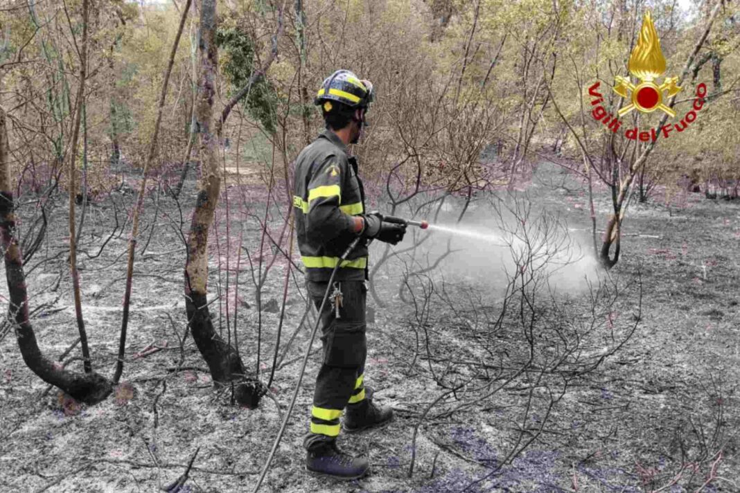 Incendi boschivi FVG, Monrupino, Claut, Protezione Civile FVG, Corpo Forestale Regionale, Vigili del Fuoco, Carso triestino