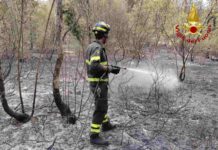 Incendi sul Carso, restano focolai attivi: domani torna l’elicottero a Monrupino, massima allerta in Fvg Incendi boschivi FVG, Monrupino, Claut, Protezione Civile FVG, Corpo Forestale Regionale, Vigili del Fuoco, Carso triestino