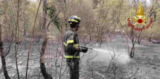 È finita l’emergenza: spenti i maxi incendi di Monrupino e Claut VIDEO Incendi boschivi FVG, Monrupino, Claut, Protezione Civile FVG, Corpo Forestale Regionale, Vigili del Fuoco, Carso triestino