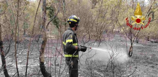 Incendi boschivi FVG, Monrupino, Claut, Protezione Civile FVG, Corpo Forestale Regionale, Vigili del Fuoco, Carso triestino