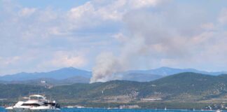 Fiamme dietro Sistiana: il Carso torna a bruciare, alta colonna di fumo VIDEO incendio Carso, Sistiana, Duino Aurisina, incendio boschivo, Vigili del Fuoco, colonna di fumo, cronaca Trieste