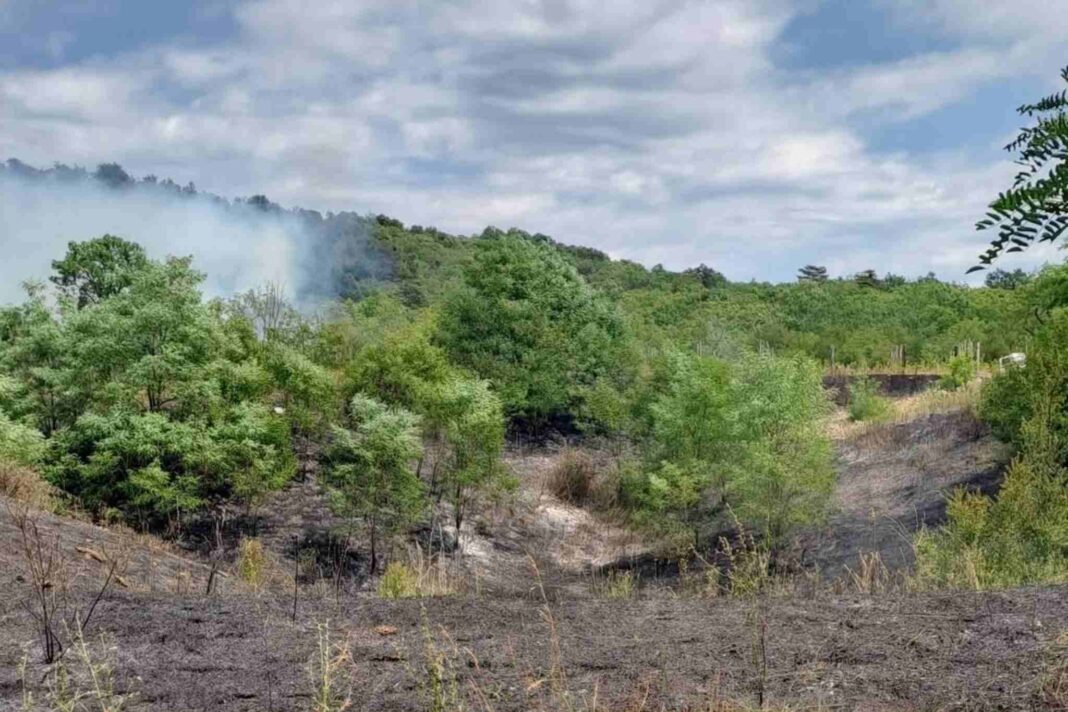 Incendio, Carso, Monrupino, Repen, Vigili del fuoco, Protezione civile, Cronaca Trieste