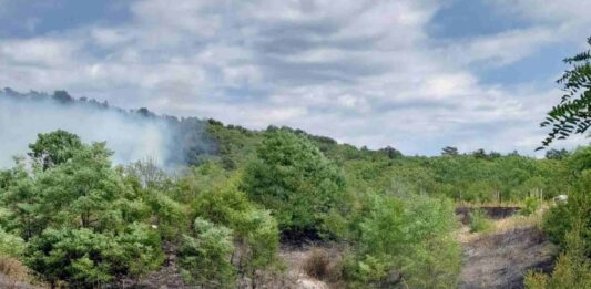 Incendio, Carso, Monrupino, Repen, Vigili del fuoco, Protezione civile, Cronaca Trieste