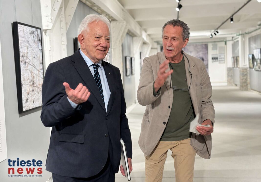 Giorgio Rossi, Trieste, Roberto Dipiazza, politica locale, Comune di Trieste, cultura, editoriale