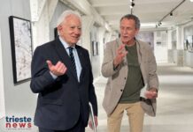 Giorgio Rossi, Trieste, Roberto Dipiazza, politica locale, Comune di Trieste, cultura, editoriale