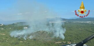 Incendio Monrupino, Carso triestino, Protezione Civile FVG, Pompieri Volontari, Incendi boschivi, Trieste, Friuli Venezia Giulia