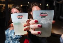 Trieste Cocktail Week, Trieste, mixology, cocktail, eventi Trieste, food pairing, bartender