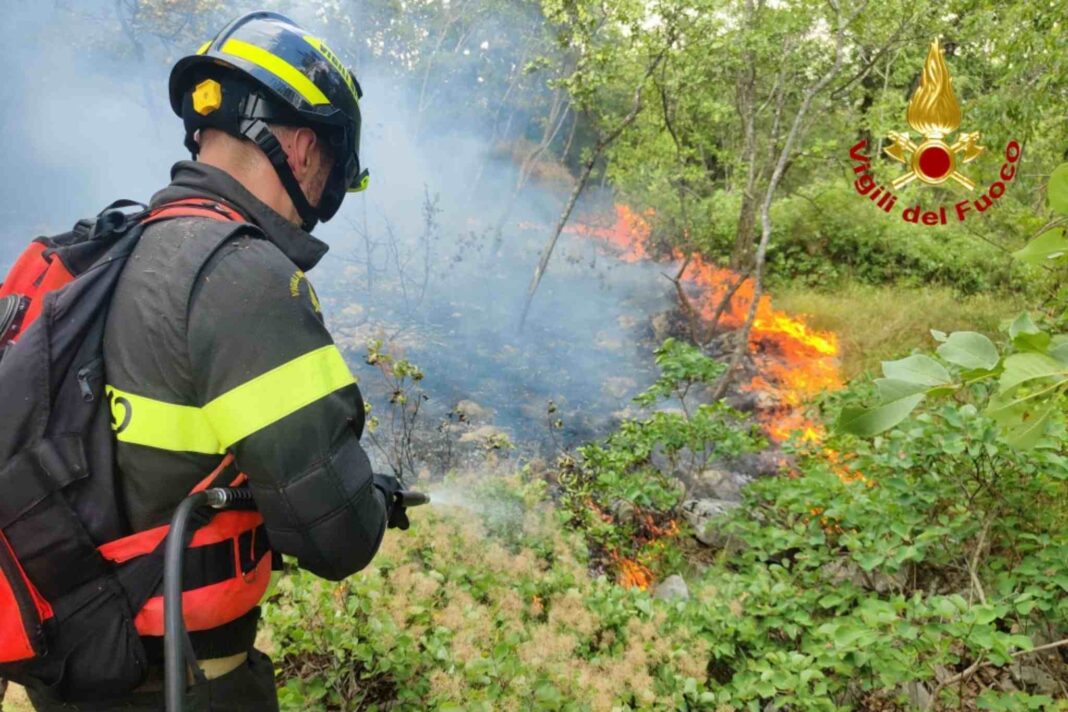 Incendio Monrupino, Carso triestino, Incendio Carso, Protezione Civile FVG, Corpo Forestale Regionale, Vigili del Fuoco, Incendi boschivi FVG