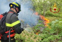 Incendio Monrupino, Carso triestino, Incendio Carso, Protezione Civile FVG, Corpo Forestale Regionale, Vigili del Fuoco, Incendi boschivi FVG
