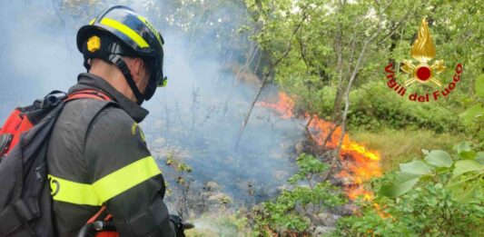 Incendio Monrupino, Carso triestino, Incendio Carso, Protezione Civile FVG, Corpo Forestale Regionale, Vigili del Fuoco, Incendi boschivi FVG