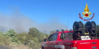 Monrupino, il bilancio si aggrava: il rogo ha devastato 17 ettari di Carso Incendio Monrupino, Carso triestino, Incendi boschivi, Protezione Civile FVG, Pompieri Volontari, Elicottero regionale, Trieste