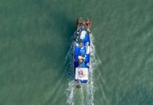 Pesca in ginocchio: granchio blu e vaccarella mettono in crisi il settore granchio blu, pesca, Friuli Venezia Giulia, mitilicoltura, Alto Adriatico, cambiamenti climatici, Confcooperative