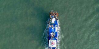 granchio blu, pesca, Friuli Venezia Giulia, mitilicoltura, Alto Adriatico, cambiamenti climatici, Confcooperative