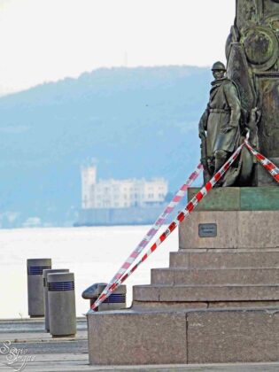 Trieste, Piazza Unit&agrave; d'Italia, sciame d'api, vigili del fuoco, centro storico, sicurezza, api