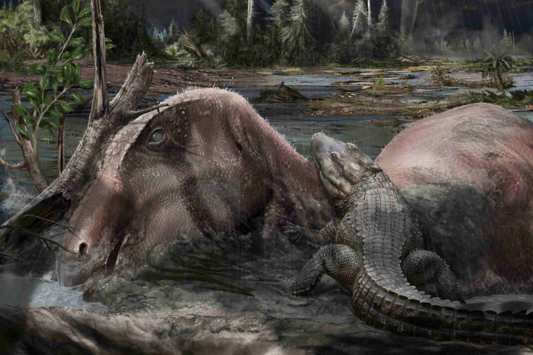 Villaggio del Pescatore, dinosauri, fossili, Carso triestino, Cretaceo superiore, Elettra Sincrotrone Trieste, paleontologia
