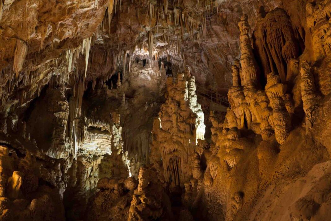 Grotta Torri di Slivia, Trieste
