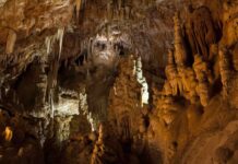Trieste da scoprire: tre grotte spettacolari perfette per una gita in famiglia Grotta Torri di Slivia, Trieste