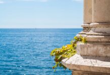 Clima e ‘luoghi del cuore’: il Museo della Bora coinvolge i cittadini per immaginare la Trieste di domani Dettaglio di una colonna del Castello di Miramare: immagine utilizzata per un articolo sul cambiamento climatico a Trieste