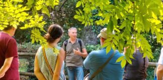 ‘Natura e scienza in città’: al Giardino Basevi un evento gratuito dedicato agli uccelli e alla biodiversità Un gruppo di persone partecipa all'incontro "Natura e scienza in città"
