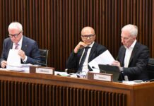 forza italia assestamento
